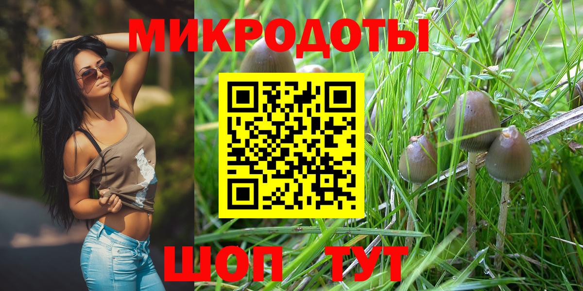 Галлюциногенные грибы Psilocybe  Вход с VPN  Ржев 