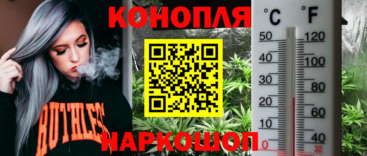 Шишки марихуана OG Kush Ржев
